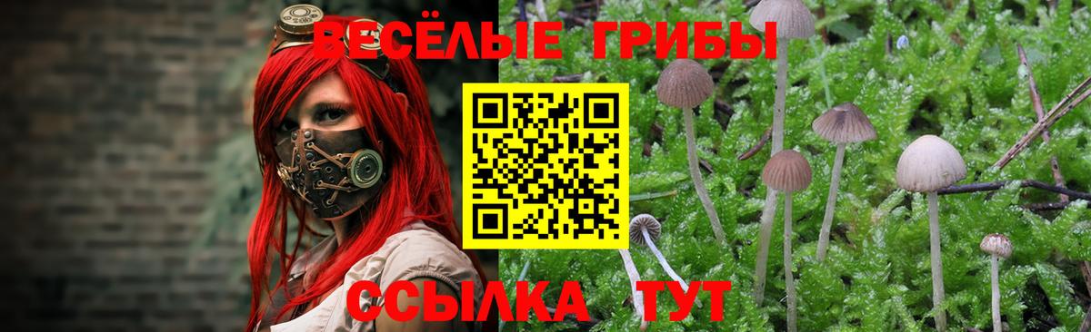 Псилоцибиновые грибы мицелий  Вход с VPN  Кисловодск 